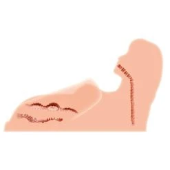 Kokos Hera 3 Masturbator -Obsessive Shop m10 03 25 7